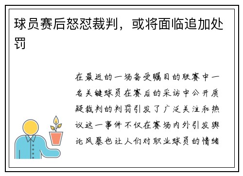 球员赛后怒怼裁判，或将面临追加处罚