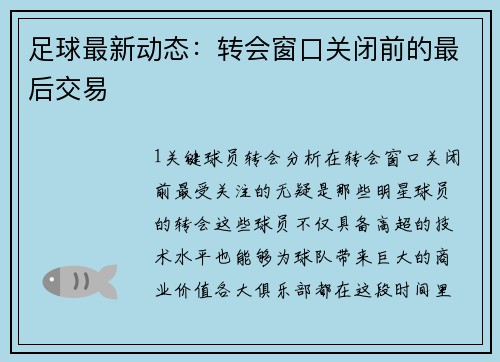 足球最新动态：转会窗口关闭前的最后交易